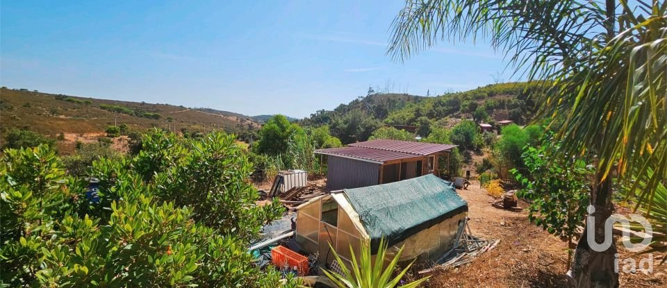 Terreno em Barão de São Miguel de 10 960 m²