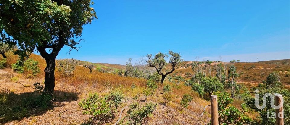 Terreno em Barão de São Miguel de 10 960 m²