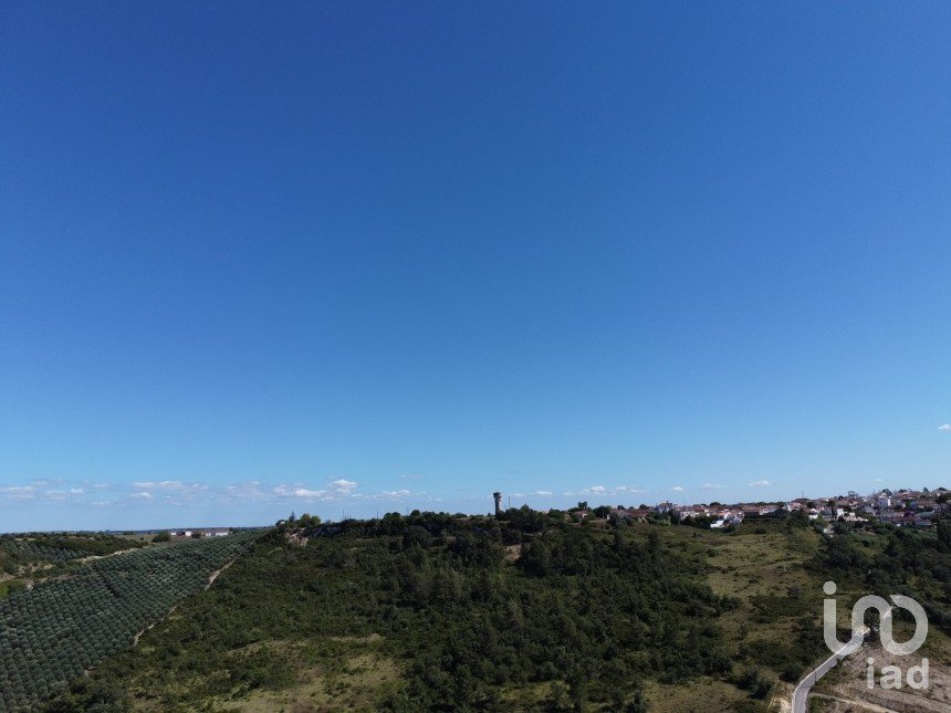 Land in Santarém (Marvila), Santa Iria Da Ribeira De Santarém, Santarém (São Salvador) E Santarém (São Nicolau) of 602 m²