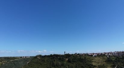 Terrain à Santarém (Marvila), Santa Iria Da Ribeira De Santarém, Santarém (São Salvador) E Santarém (São Nicolau) de 602 m²