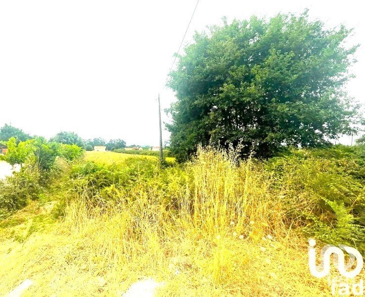 Boutique/Local commercial à Geraz Do Lima (Santa Maria, Santa Leocádia E Moreira) E Deão de 1 500 m²