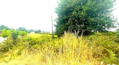 Shop / premises commercial in Geraz Do Lima (Santa Maria, Santa Leocádia E Moreira) E Deão of 1,500 m²