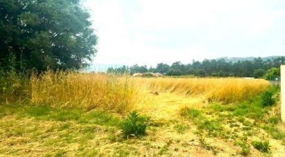 Shop / premises commercial in Geraz Do Lima (Santa Maria, Santa Leocádia E Moreira) E Deão of 1,500 m²