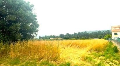 Shop / premises commercial in Geraz Do Lima (Santa Maria, Santa Leocádia E Moreira) E Deão of 1,500 m²