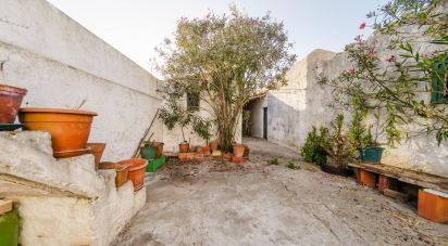 Maison T2 à Ferrel de 106 m²