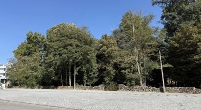 Terrain à bâtir à Vidago (Vidago, Arcossó, Selhariz E Vilarinho Das Paranheiras) de 14 937 m²