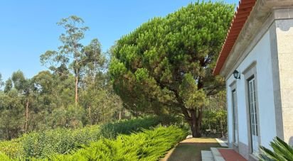 Maison T4 à Marrancos e Arcozelo de 310 m²