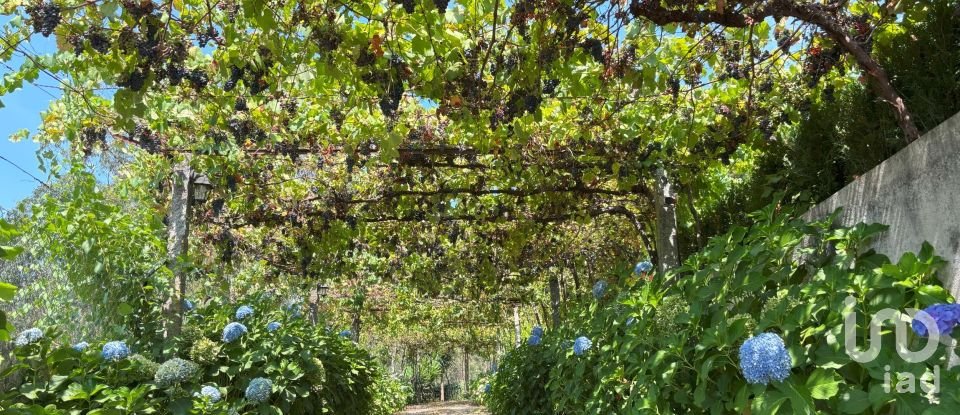 Moradia T4 em Marrancos e Arcozelo de 310 m²