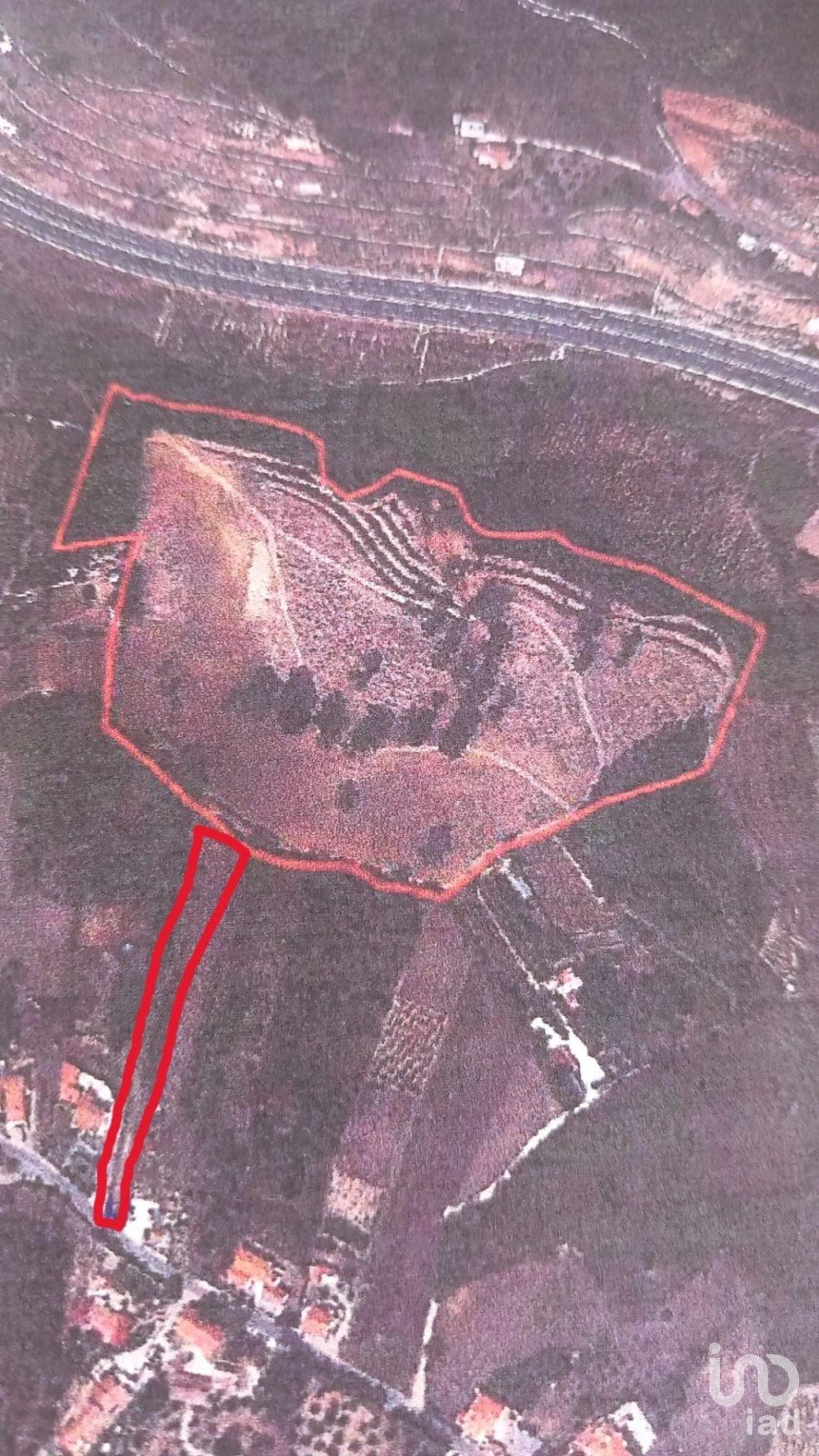 Terrain agricole à Maiorga de 51 030 m²