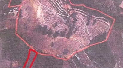 Terrain agricole à Maiorga de 51 030 m²