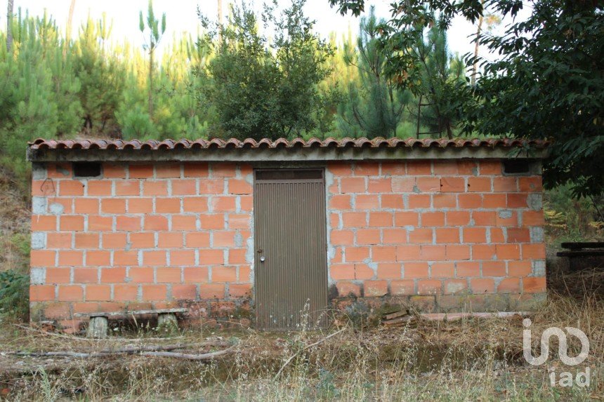 Terreno em Nogueira do Cravo de 20 100 m²