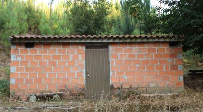 Terrain à Nogueira do Cravo de 20 100 m²