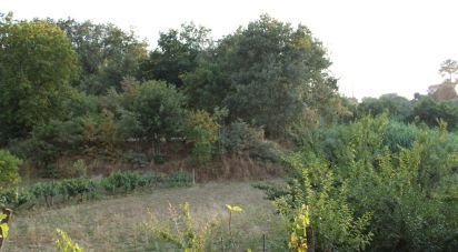 Terrain à Nogueira do Cravo de 20 100 m²