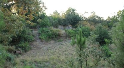 Terrain à Nogueira do Cravo de 20 100 m²