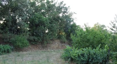 Terrain à Nogueira do Cravo de 20 100 m²