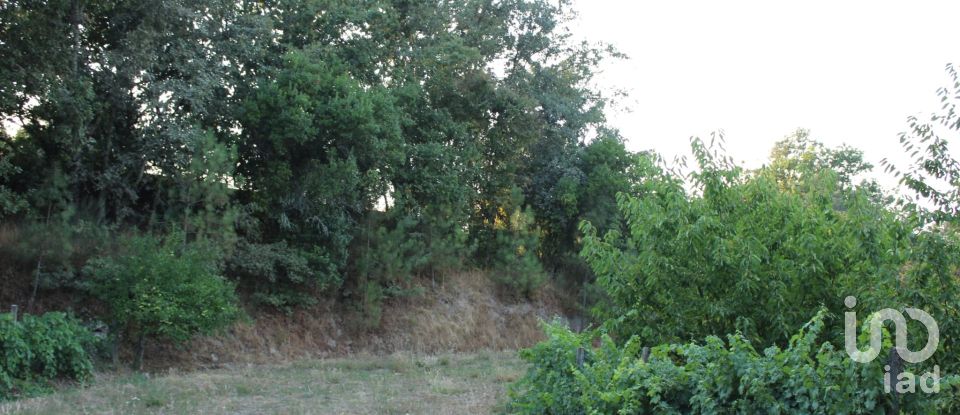 Terreno em Nogueira do Cravo de 20 100 m²
