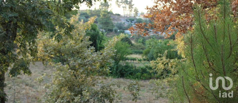 Terreno em Nogueira do Cravo de 20 100 m²