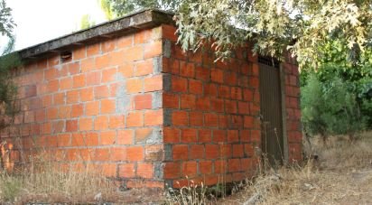 Terrain à Nogueira do Cravo de 20 100 m²