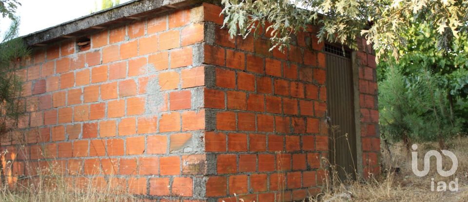 Terreno em Nogueira do Cravo de 20 100 m²