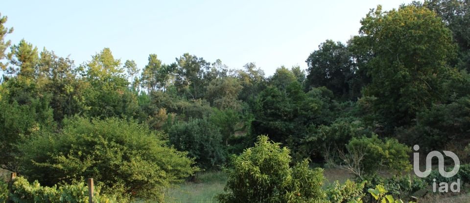 Terreno em Nogueira do Cravo de 20 100 m²