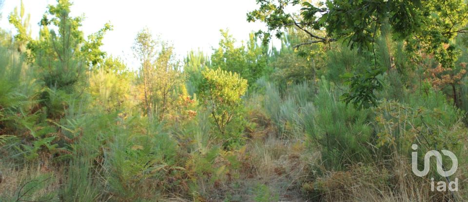 Terreno em Nogueira do Cravo de 20 100 m²