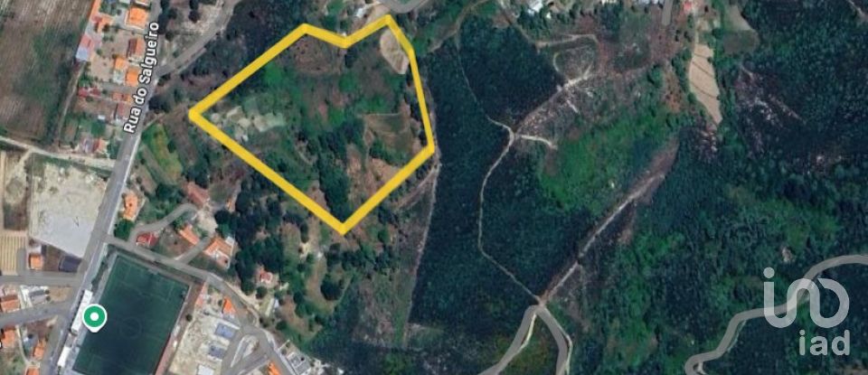 Terreno em Nogueira do Cravo de 20 100 m²