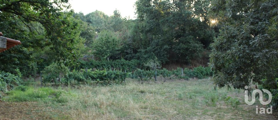 Terreno em Nogueira do Cravo de 20 100 m²