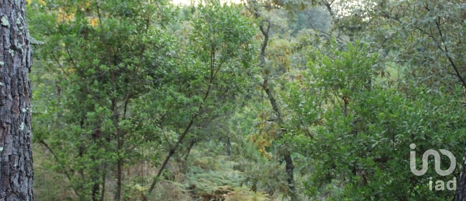 Terreno em Nogueira do Cravo de 20 100 m²