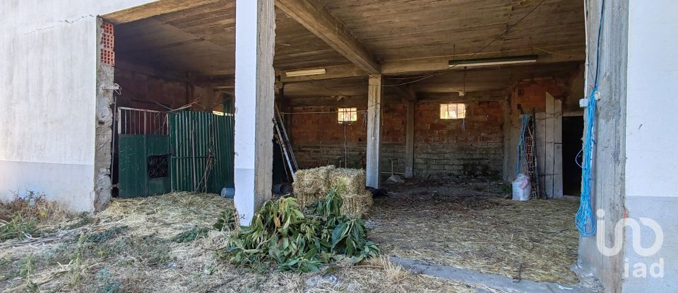 Moradia T6 em Proença-a-Nova e Peral de 69 m²