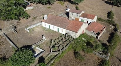 Ferme T3 à São Salvador da Aramenha de 110 m²