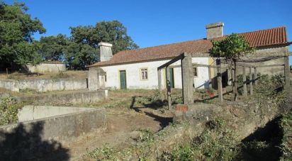 Ferme T3 à São Salvador da Aramenha de 110 m²