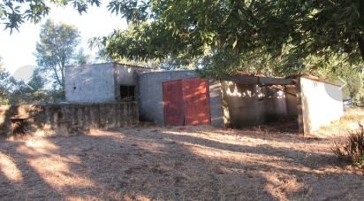 Ferme T3 à São Salvador da Aramenha de 110 m²