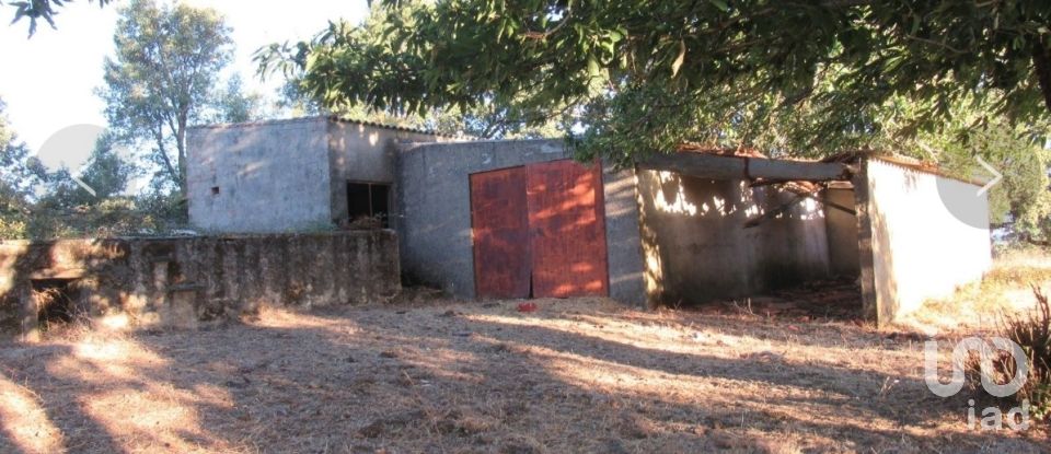 Farm T3 in São Salvador da Aramenha of 110 m²