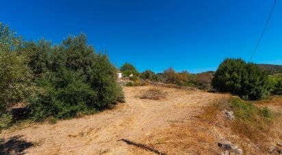 Maison traditionnelle T4 à Conceição e Estoi de 196 m²