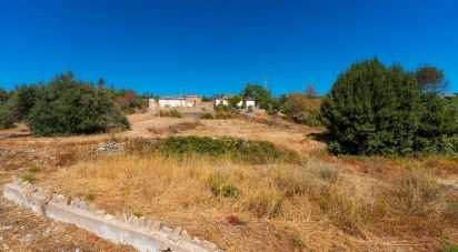 Maison traditionnelle T4 à Conceição e Estoi de 196 m²