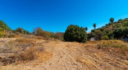 Maison traditionnelle T4 à Conceição e Estoi de 196 m²