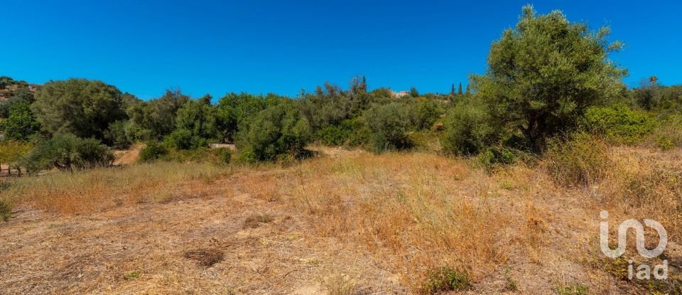 Casa tradicional T4 em Conceição e Estoi de 196 m²
