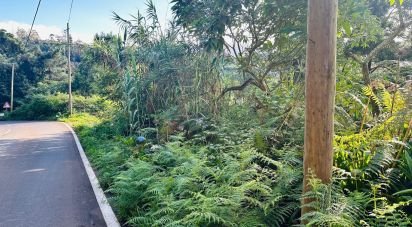 Terrain agricole à Santana de 2 370 m²