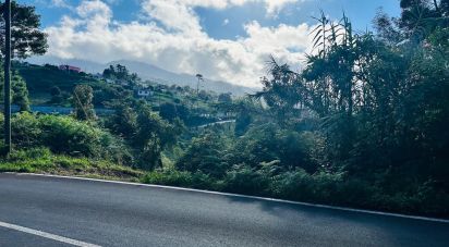 Terrain agricole à Santana de 2 370 m²