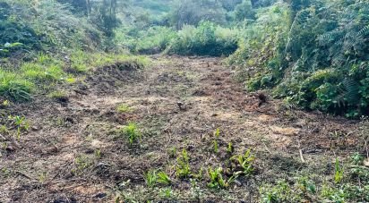 Terrain agricole à Santana de 2 370 m²