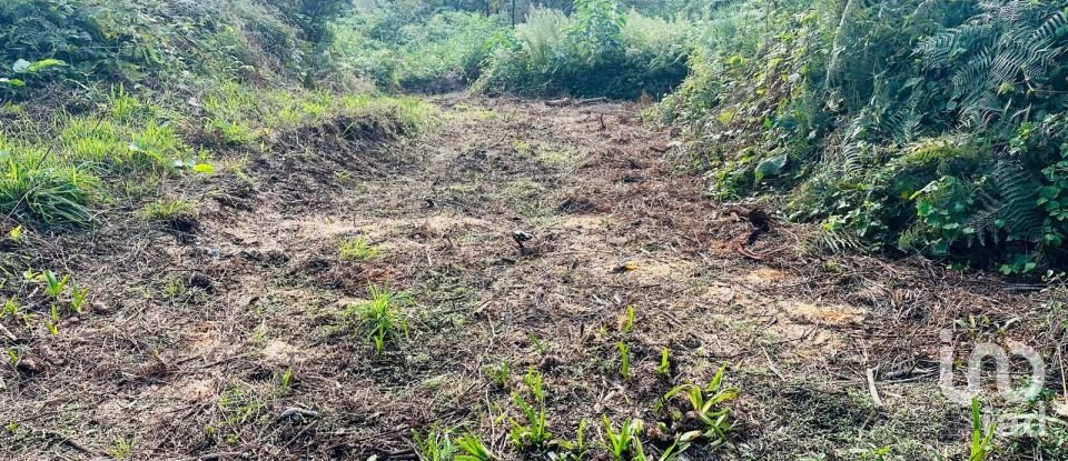 Terreno rústico em Santana de 2 370 m²