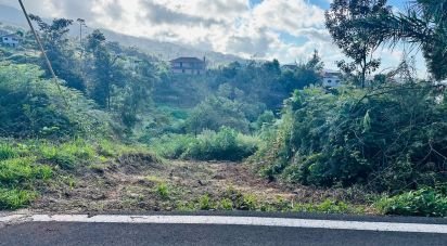 Terrain agricole à Santana de 2 370 m²