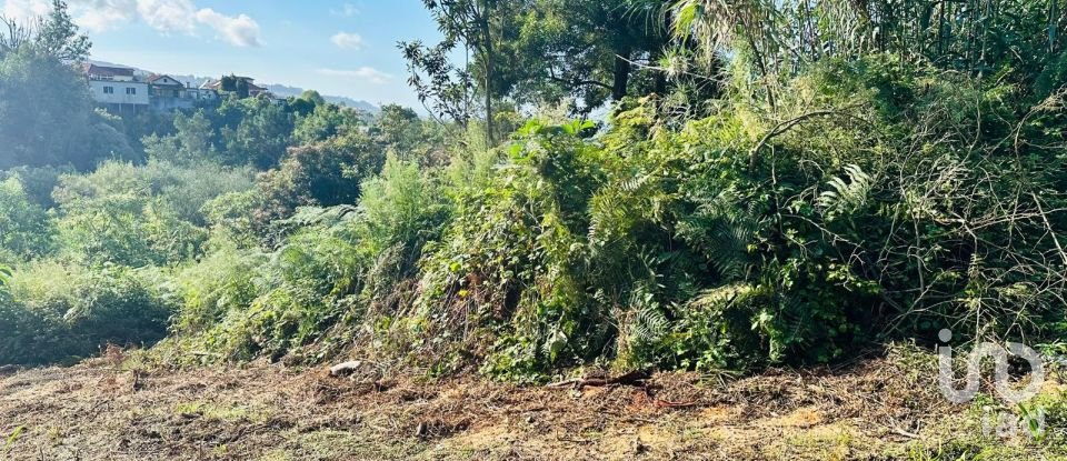 Terreno rústico em Santana de 2 370 m²