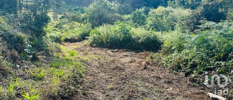Terreno rústico em Santana de 2 370 m²