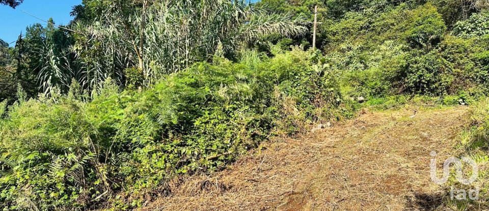 Terreno rústico em Santana de 2 370 m²