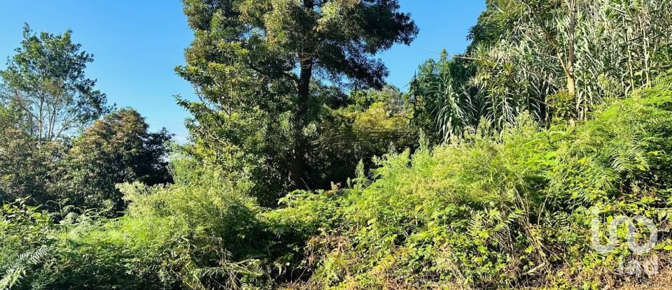 Terreno rústico em Santana de 2 370 m²