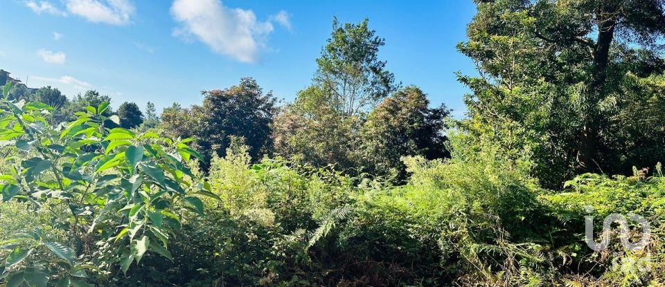 Terreno rústico em Santana de 2 370 m²