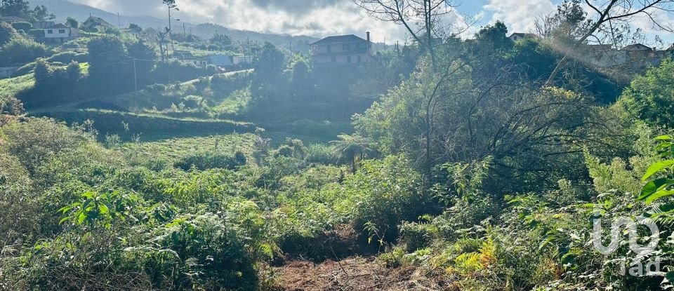 Terreno rústico em Santana de 2 370 m²