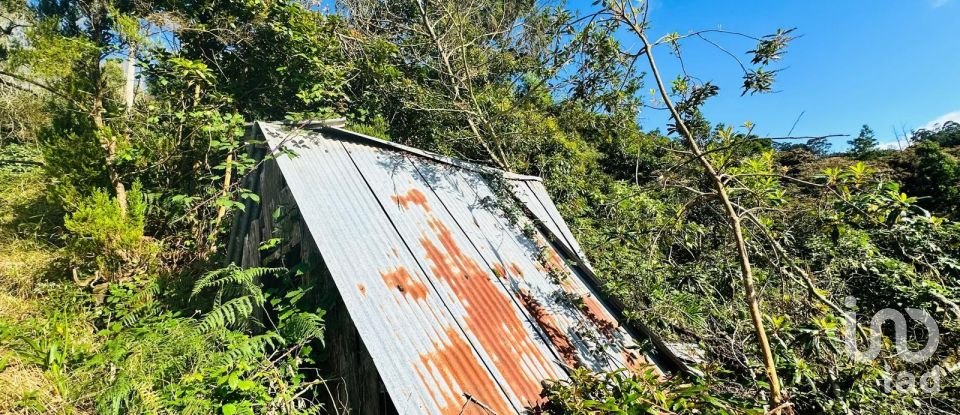 Terreno rústico em Santana de 2 370 m²