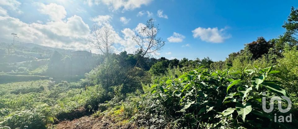 Terreno rústico em Santana de 2 370 m²
